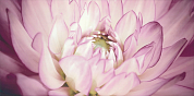 Sorenta mocca durst kwiaty В Декор 30x60
