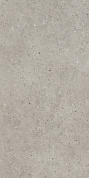 Риккарди Керамогранит серый светлый матовый обрезной SG519920R 60х119,5